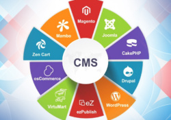 Best CMS for Website Development