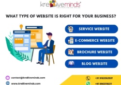 What Type of Website is Right for Your Business 