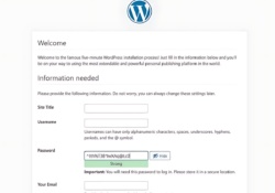 How to Install WordPress in cPanel Manually